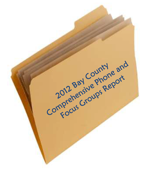 Bay County Community Health Assessment