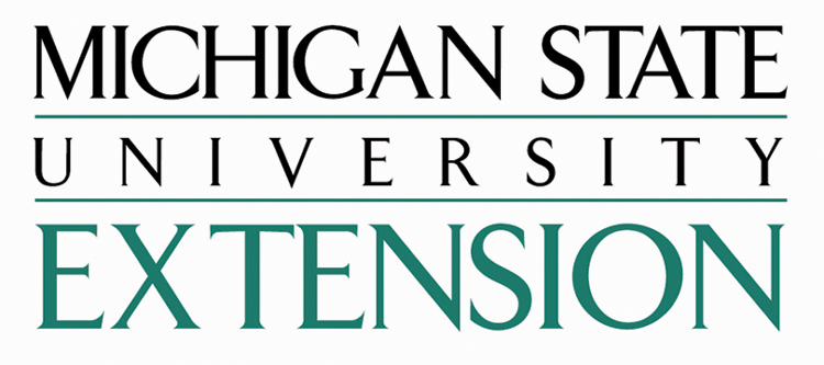 michgan state university logo