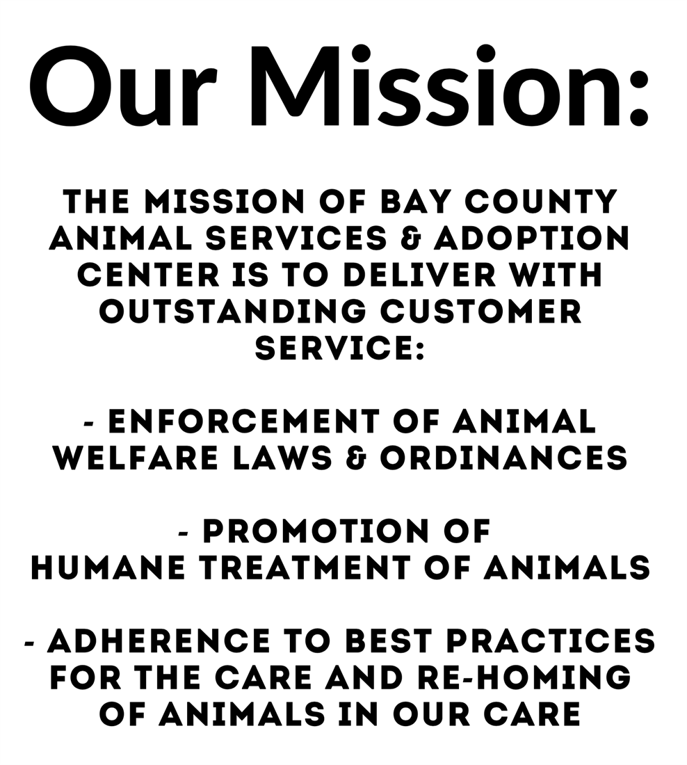 Animal Services & Adoption Center